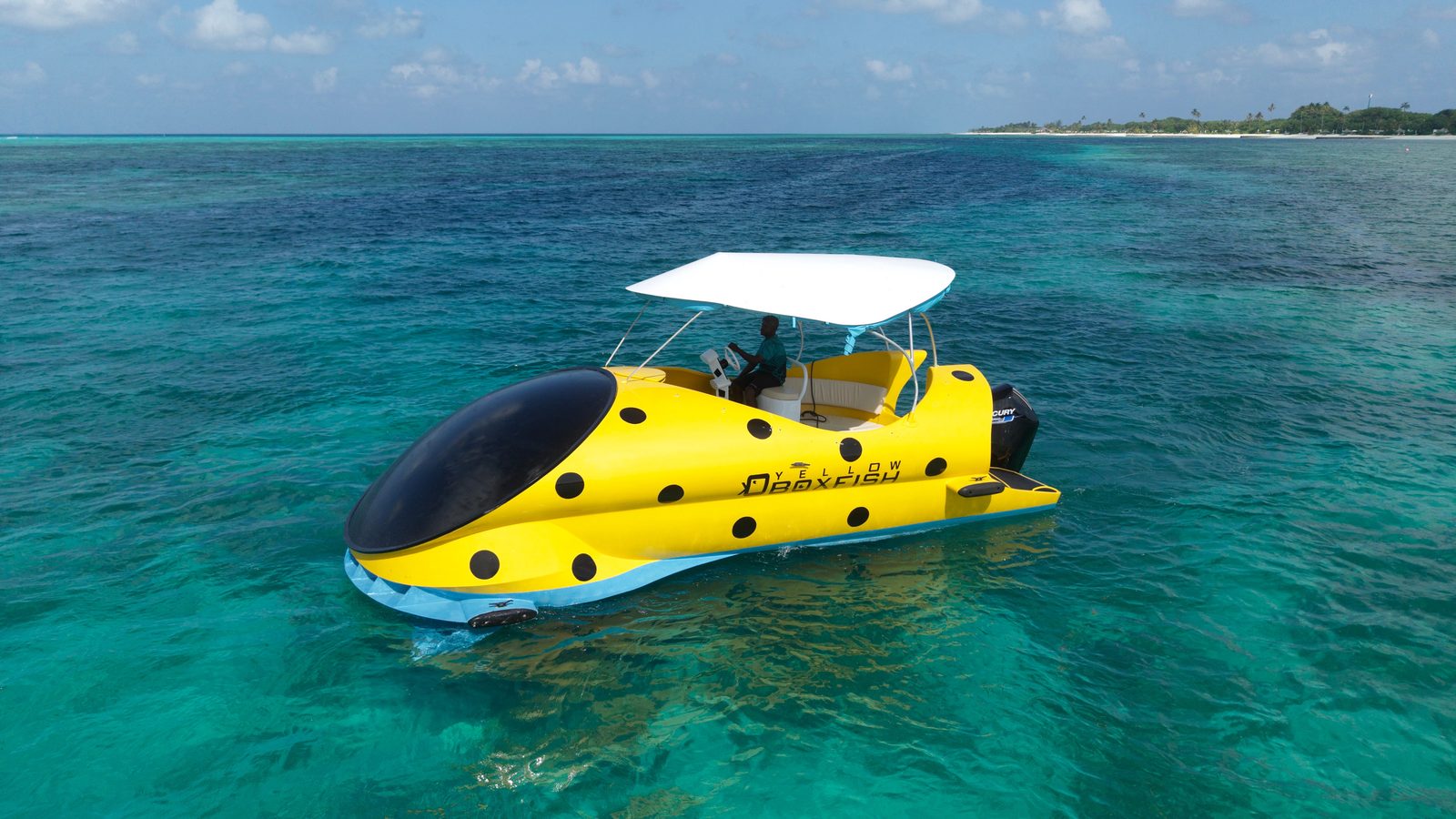 Glass Bottom Boat