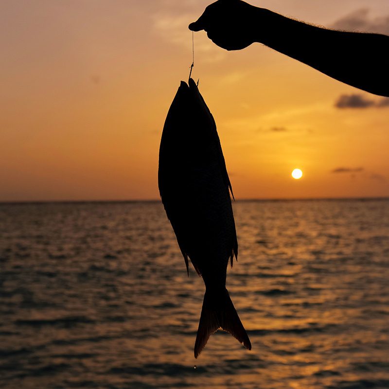 Night Fishing