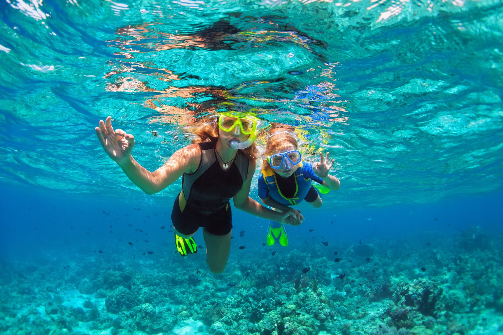 Private Snorkelling Guide